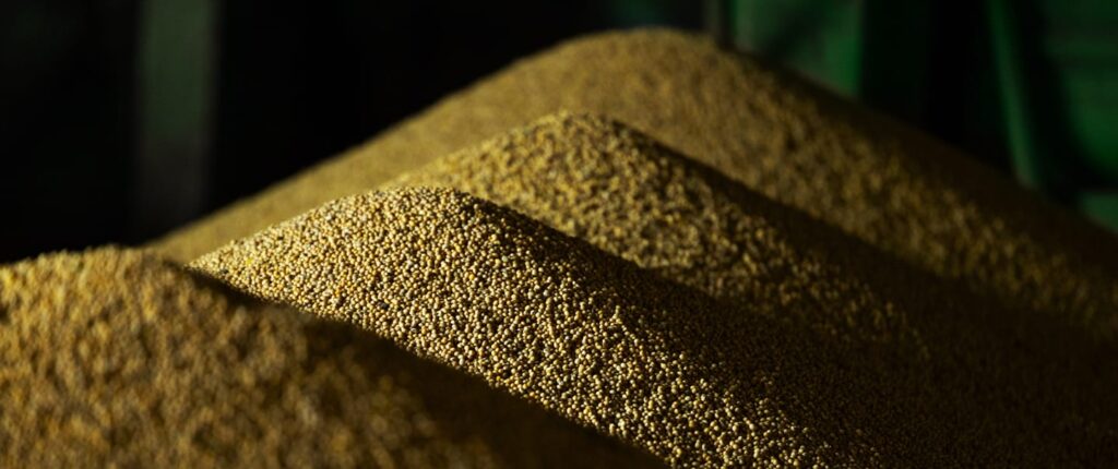 Sanchotene Agronegócios - Qual a diferença entre silos de armazenagem e silos de secagem?