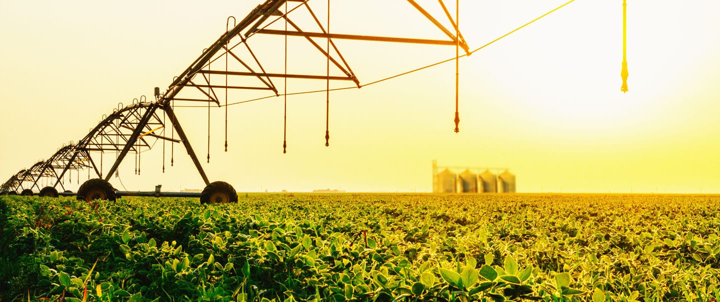 Sanchotene Agronegócios - A importância da irrigação e da armazenagem de grãos na gestão do seu agronegócio