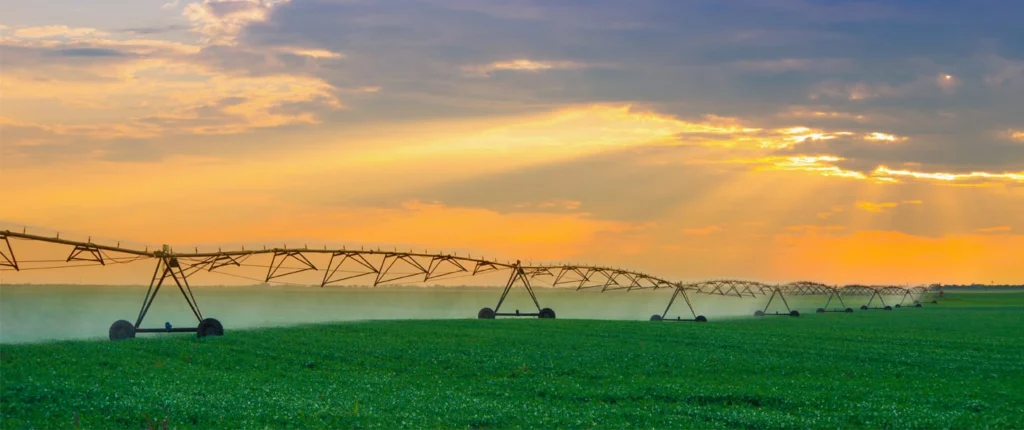 Sanchotene Agronegócios - Pivôs e estabilidade financeira: como a irrigação reduz os riscos da safra