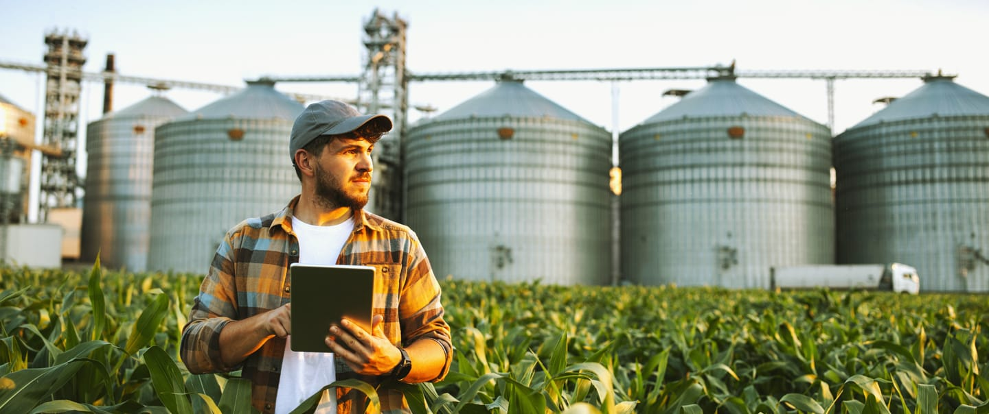 Sanchotene Agronegócios - Como ganhar autonomia com silos de armazenagem e vender a produção na hora certa?