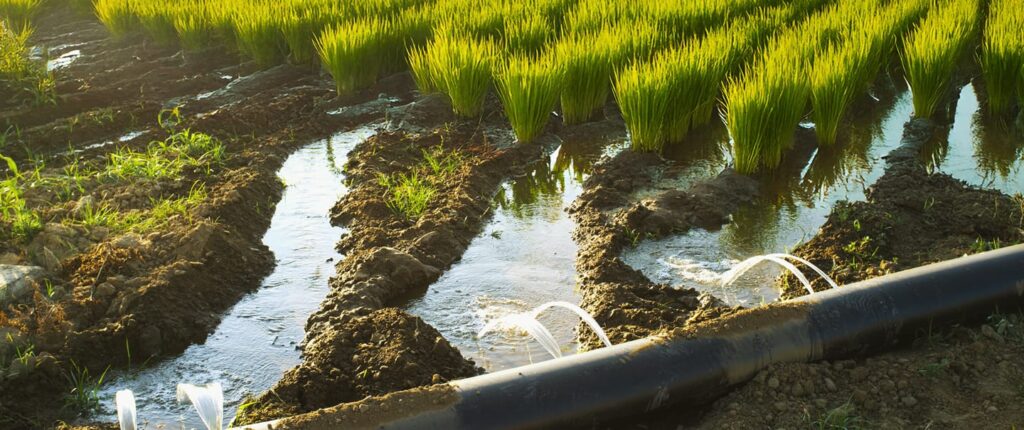 Sanchotene Agronegócios - Irrigação por sulcos e politubos: como a tecnologia sulco-camalhão favorece a cultura da soja irrigada em rotação com o arroz irrigado