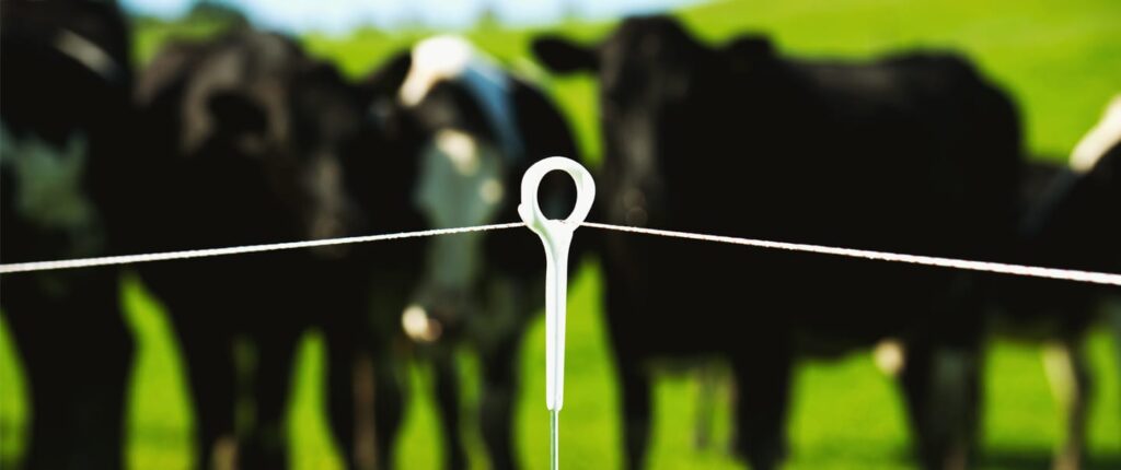 Sanchotene Agronegócios - Como planejar e dimensionar piquetes para rebanho de forma eficiente