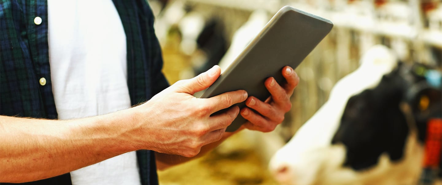 Sanchotene Agronegócios - Pilares da lucratividade: aplicando a gestão de alta performance em sistemas de pecuária intensiva