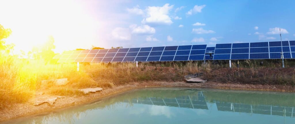 Sanchotene Agronegócios - Como a bomba solar pode ser uma excelente solução para a pecuária durante períodos de estiagem