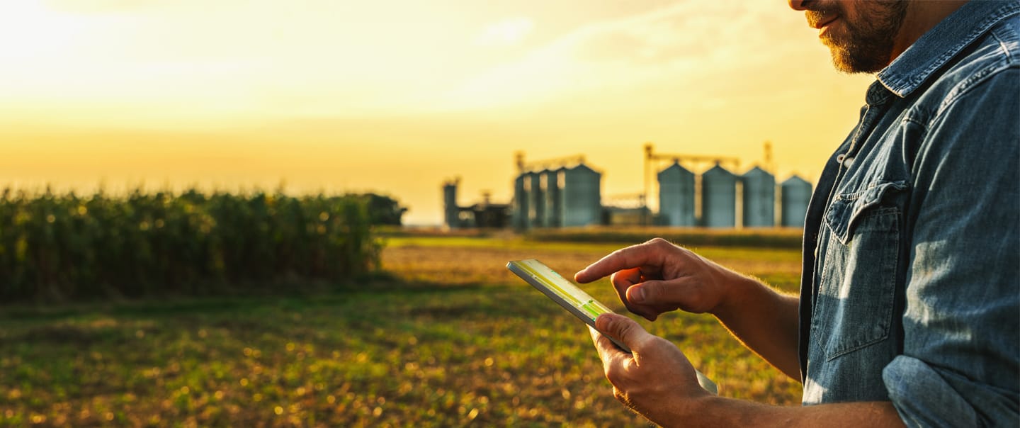 Sanchotene Agronegócios - Como a armazenagem de grãos influencia na gestão rural e potencializa os lucros