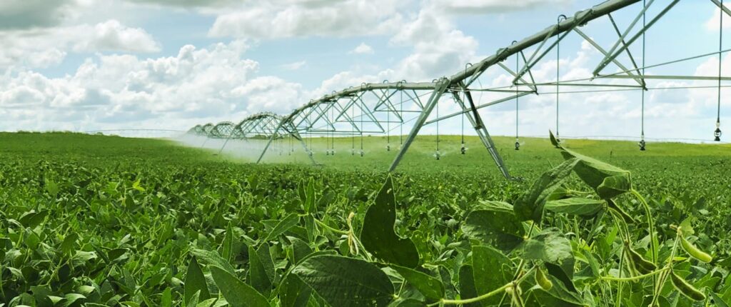 Sanchotene Agronegócios - Programa Irriga + RS: Como obter até R$ 150 mil em subvenção para projetos de irrigação no RS