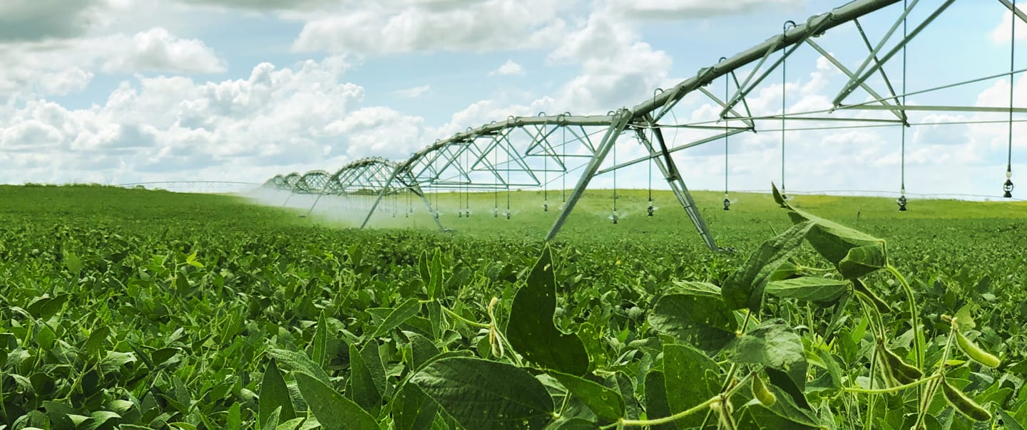 Sanchotene Agronegócios - Programa Irriga + RS: Como obter até R$ 150 mil em subvenção para projetos de irrigação no RS
